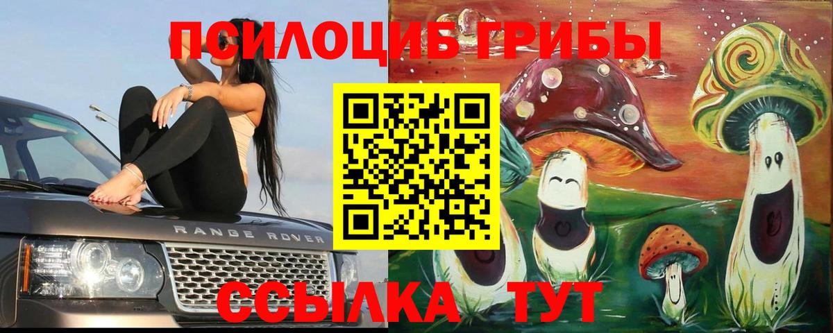Галлюциногенные грибы мицелий  Вход с VPN  Великий Новгород 
